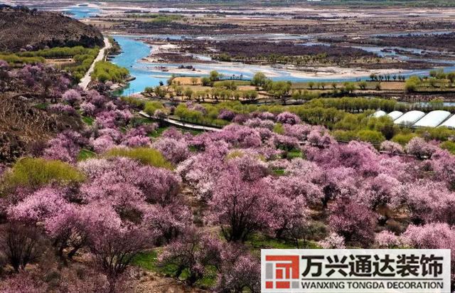 拉萨风水拉萨风水大师