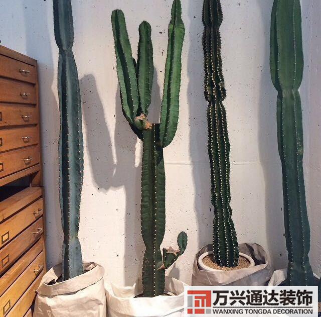 装修绿植装修绿植墙